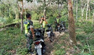 WhatsApp Image 2026-03-17 at 11.37.52 (1)