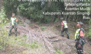 WhatsApp Image 2026-03-23 at 09.39.34