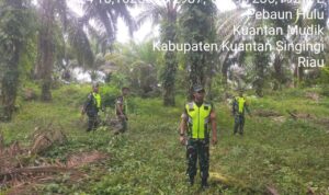 WhatsApp Image 2026-03-26 at 09.29.08