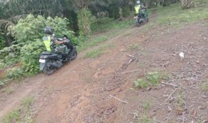 WhatsApp Image 2026-03-26 at 11.25.33 (1)