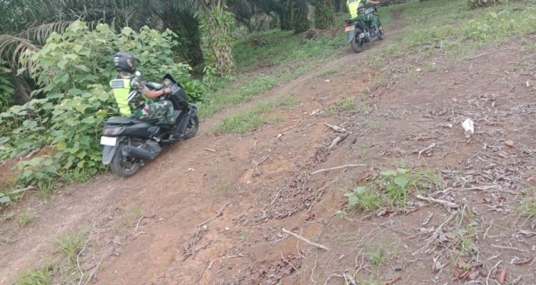 WhatsApp Image 2026-03-26 at 11.25.33 (1)