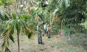 WhatsApp Image 2026-03-28 at 09.31.11