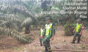 WhatsApp Image 2026-03-30 at 10.15.36