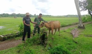 WhatsApp Image 2026-03-30 at 10.16.08