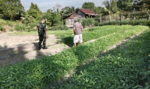 WhatsApp Image 2026-03-30 at 12.09.32 (1)