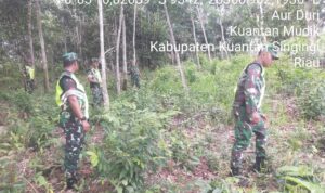 WhatsApp Image 2026-03-31 at 09.50.53