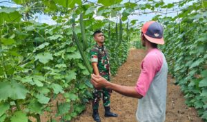 WhatsApp Image 2026-03-31 at 10.49.53 (1)