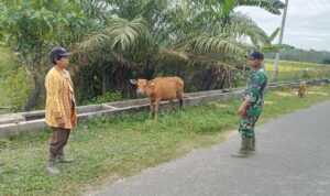 WhatsApp Image 2026-04-01 at 09.32.45