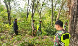 WhatsApp Image 2026-04-01 at 10.12.08 (1)