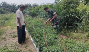 WhatsApp Image 2026-04-01 at 10.23.59 (1)