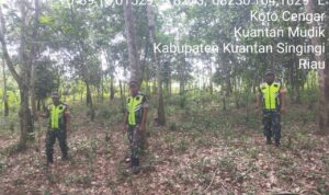 WhatsApp Image 2026-04-07 at 09.32.41