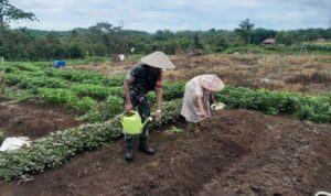 WhatsApp Image 2026-04-07 at 11.15.14