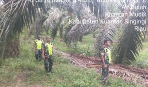 WhatsApp Image 2026-04-09 at 09.33.48