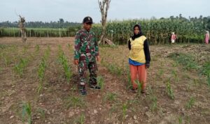 WhatsApp Image 2026-04-09 at 09.34.17