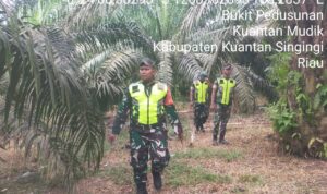 WhatsApp Image 2026-04-11 at 09.43.57