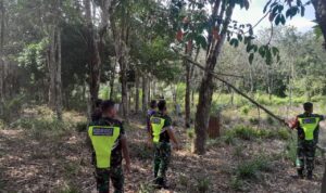 WhatsApp Image 2026-04-16 at 11.30.05 (1)