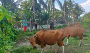 WhatsApp Image 2026-04-16 at 11.30.50