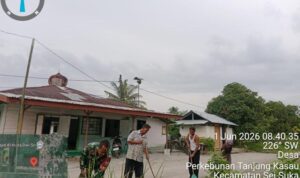 2 (2) (Copy)