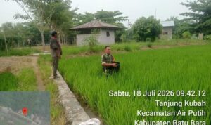 4 (2) (Copy)