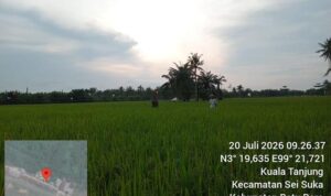 5 (2) (Copy)