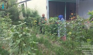 8 (4) (Copy)