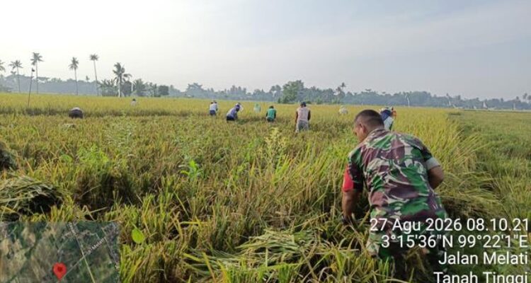 3 (2) (Copy)