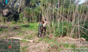 4 (4) (Copy)