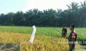 6 (2) (Copy)