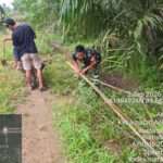 4 (2) (Copy)