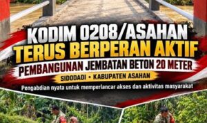 2 (2) (Copy)