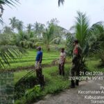 3 (2) (Copy)