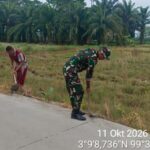 3 (3) (Copy)
